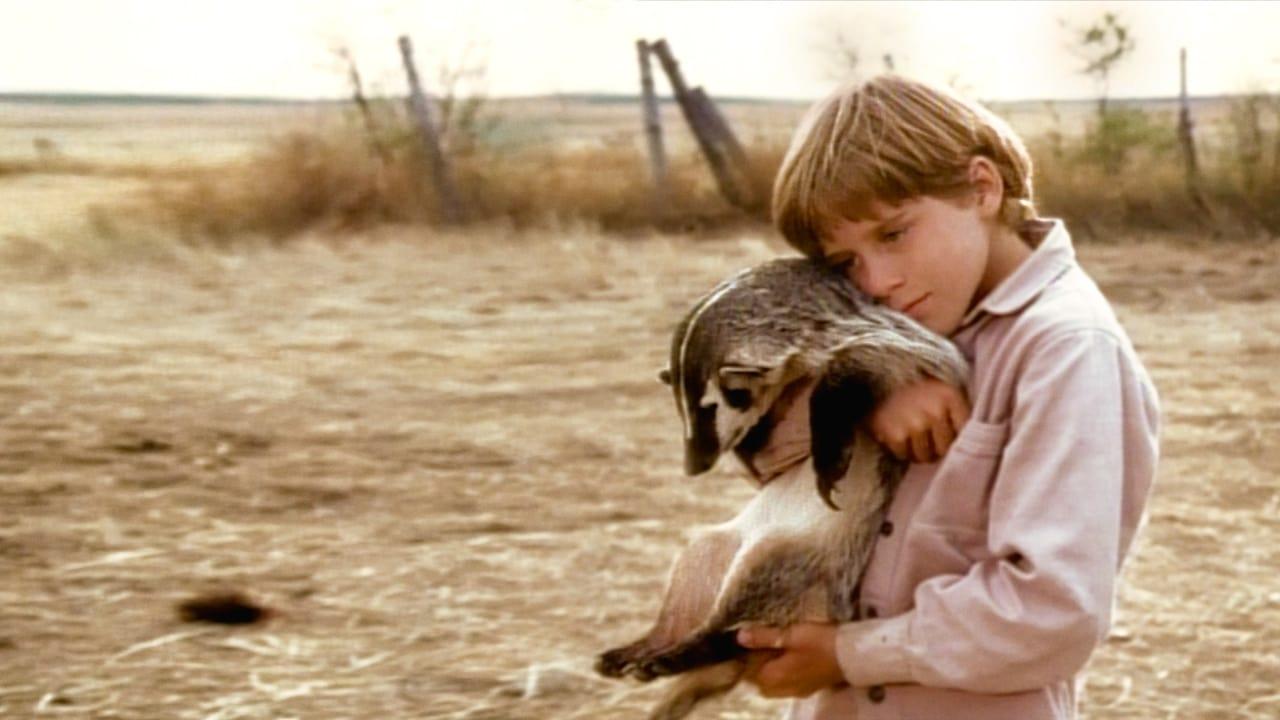 The Boy Who Talked to Badgers