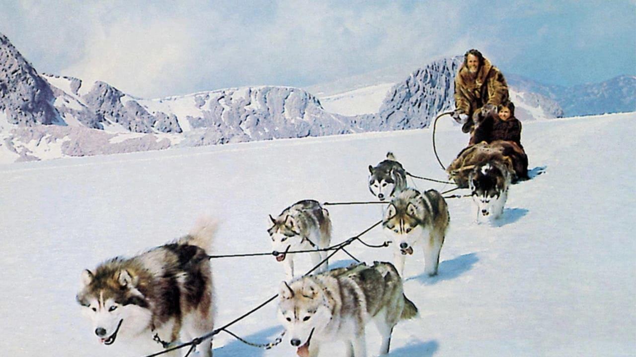 Hell Hounds of Alaska