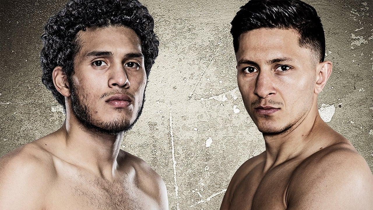 David Benavidez vs. Ronald Gavril