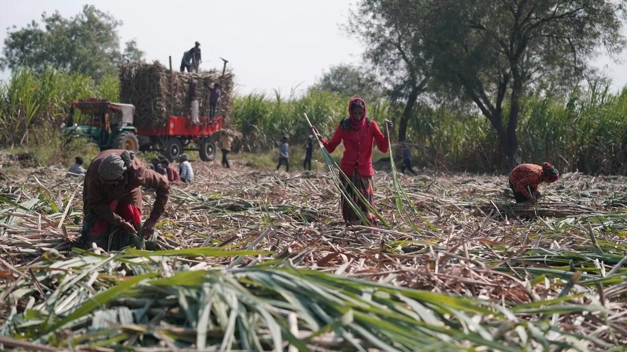 Inde : les villages sans utérus / RDC : le long chemin d’un salaire