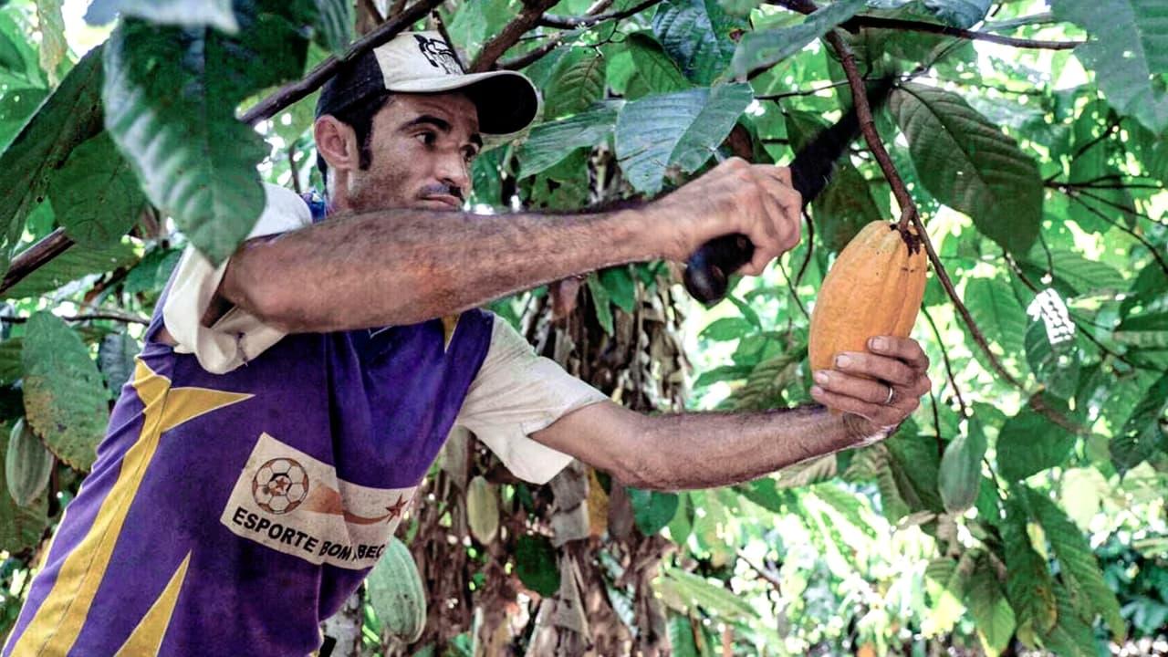 Du Chocolat Pour Sauver l'Amazonie