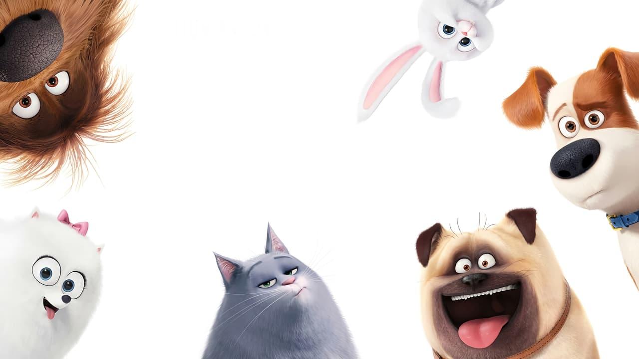 The Secret Life of Pets