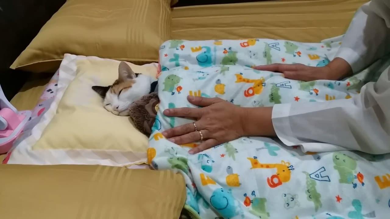 Meeboon being tucked in bed