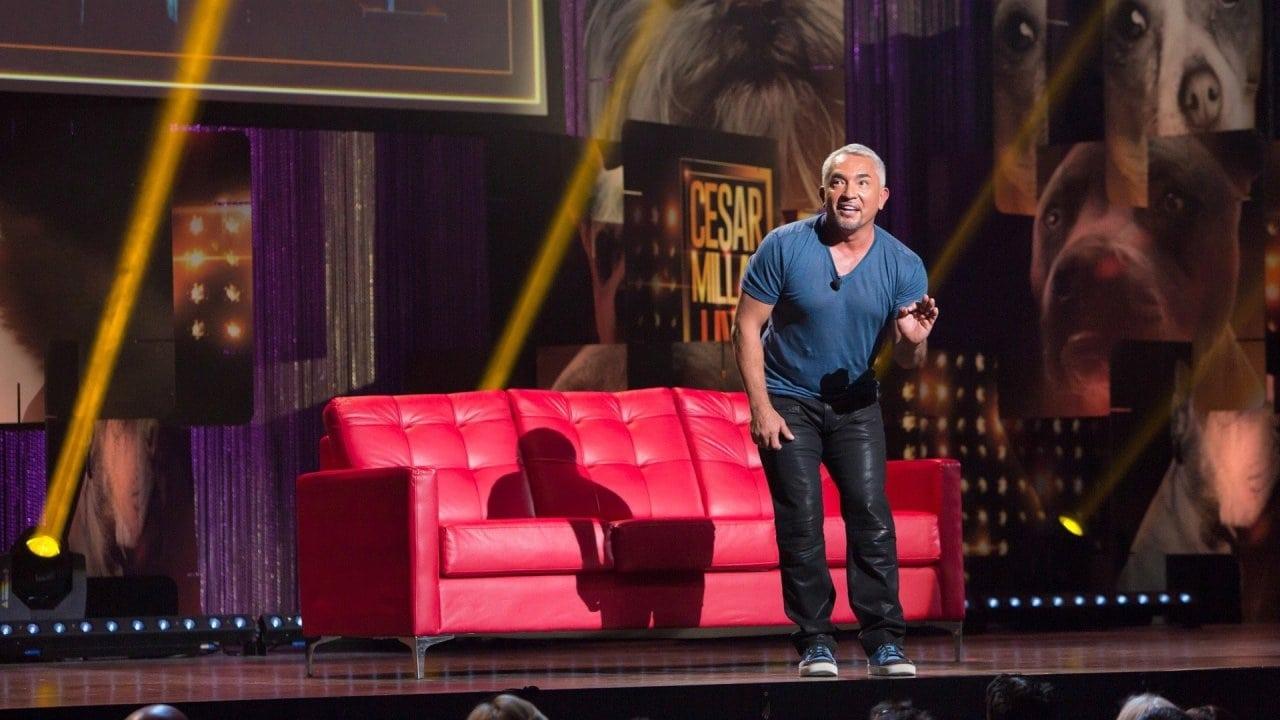 Cesar Millan: Viva Las Vegas!