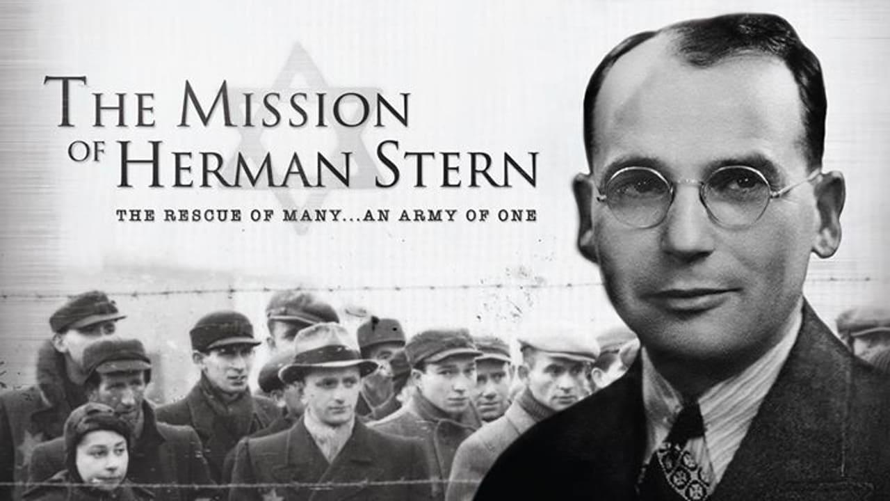 The Mission of Herman Stern