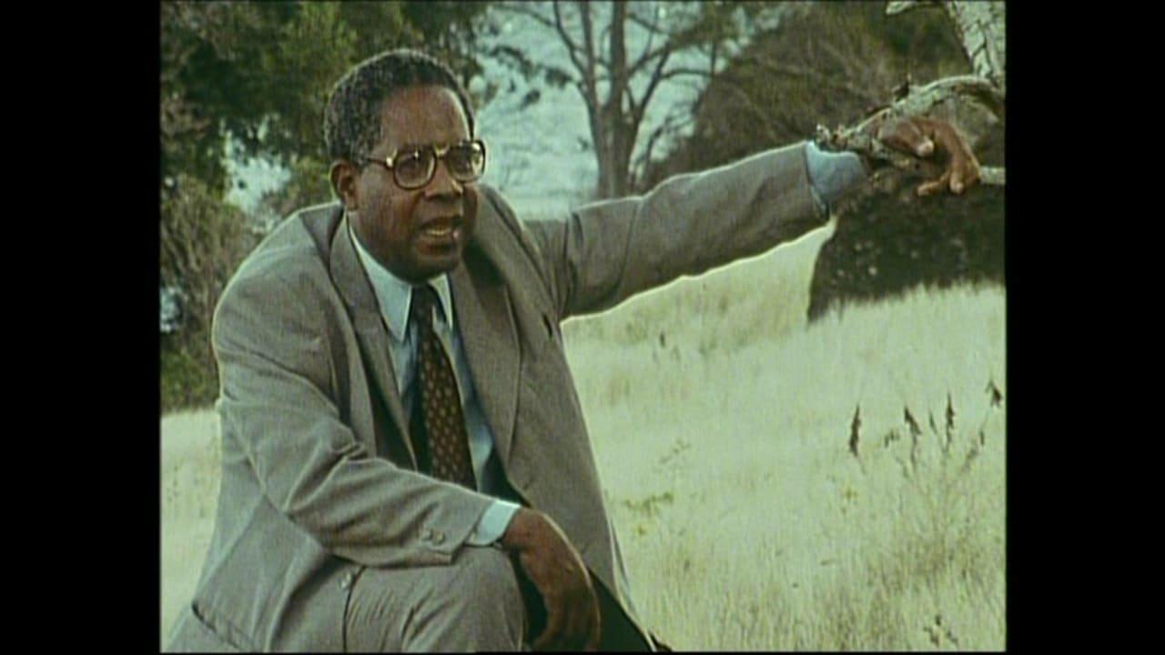 Aimé Césaire at the End of Daybreak