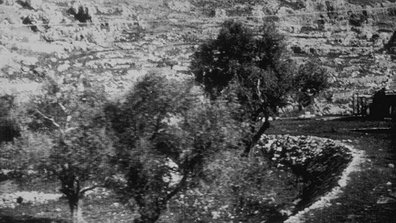 Jaffa : panorama en chemin de fer