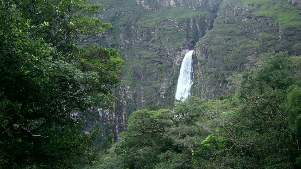 Os Naturalistas: Saint-Hilaire e a Serra da Canastra