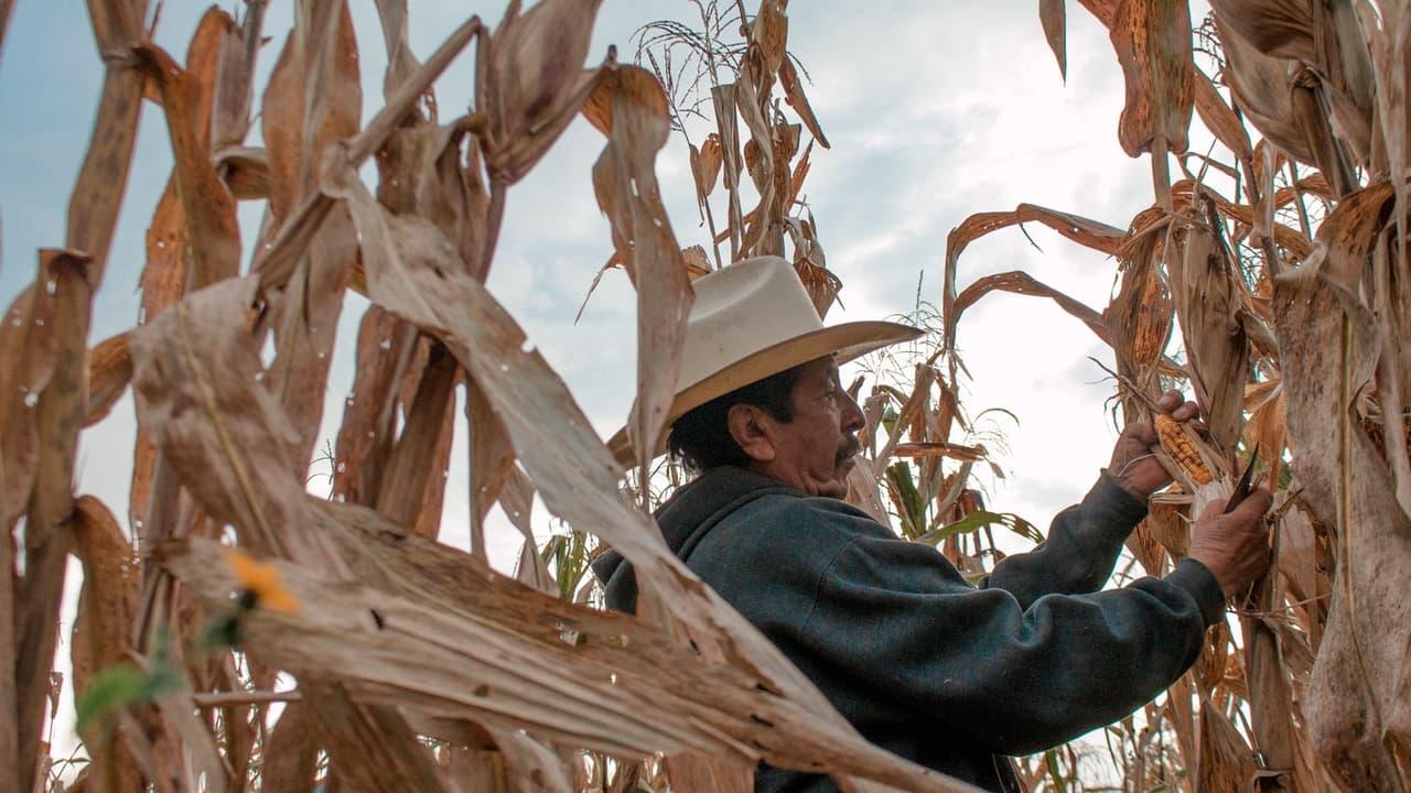 Seeds, the legacy of the land