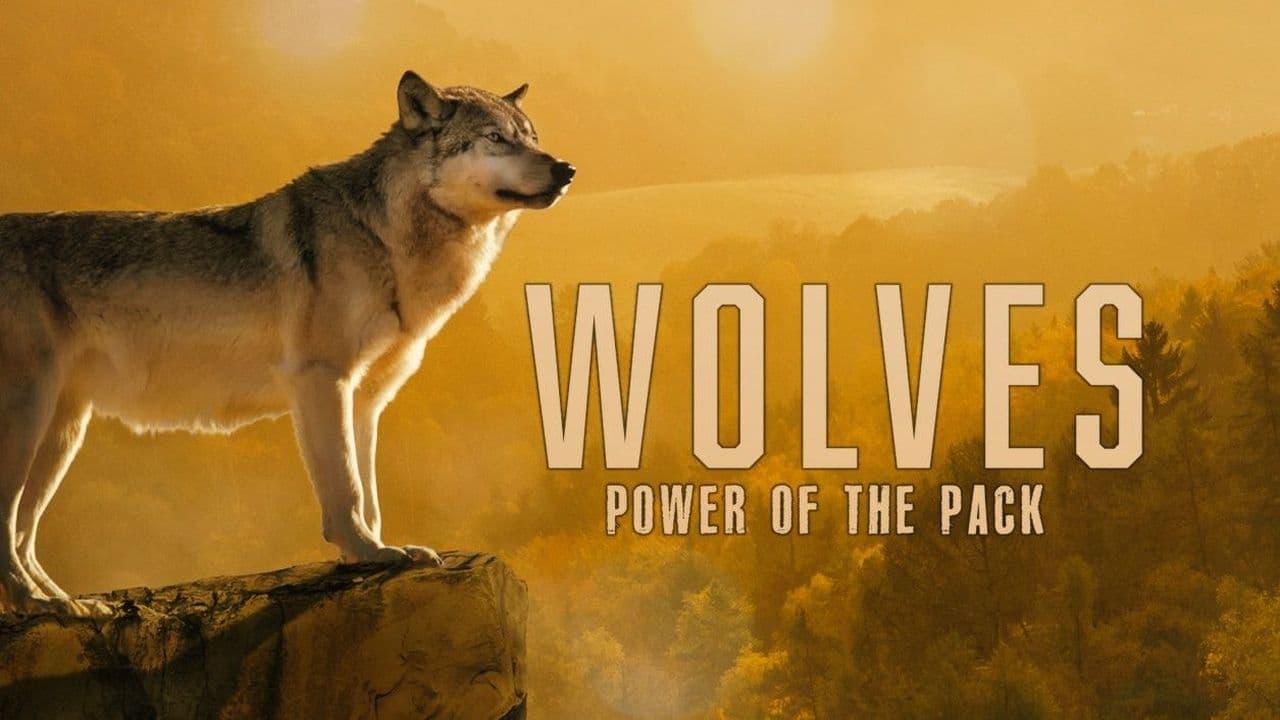 Wolves: Power of the Pack