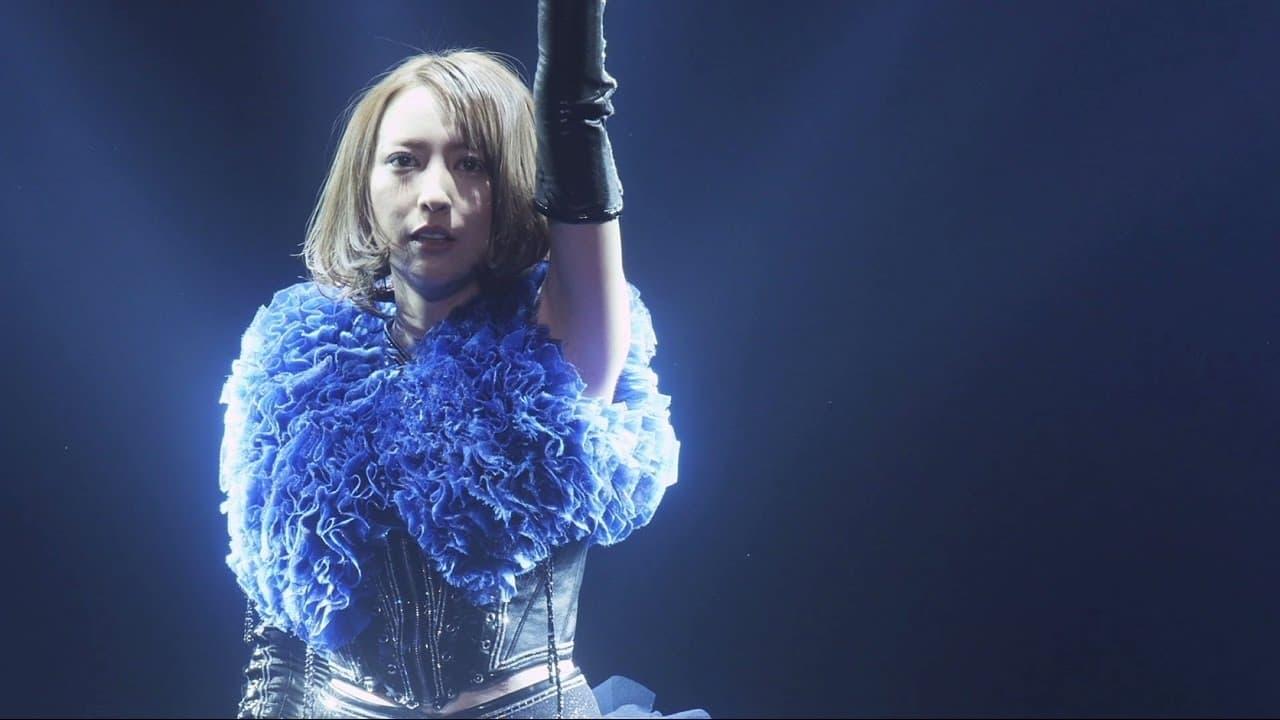 Eir Aoi 5th Anniversary Special Live 2016～LAST BLUE～at 日本武道館