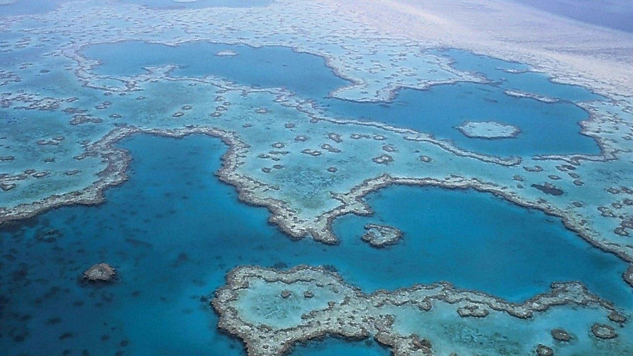 Les défis de la Grande Barrière de corail