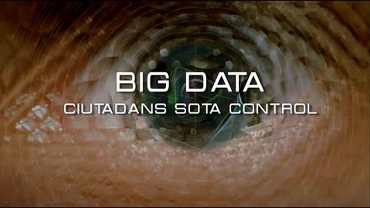 Big Data. Ciudadanos bajo control