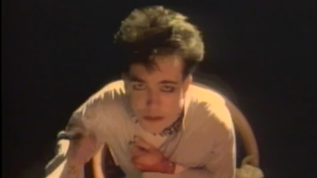 The Cure : Staring At The Sea - The Images