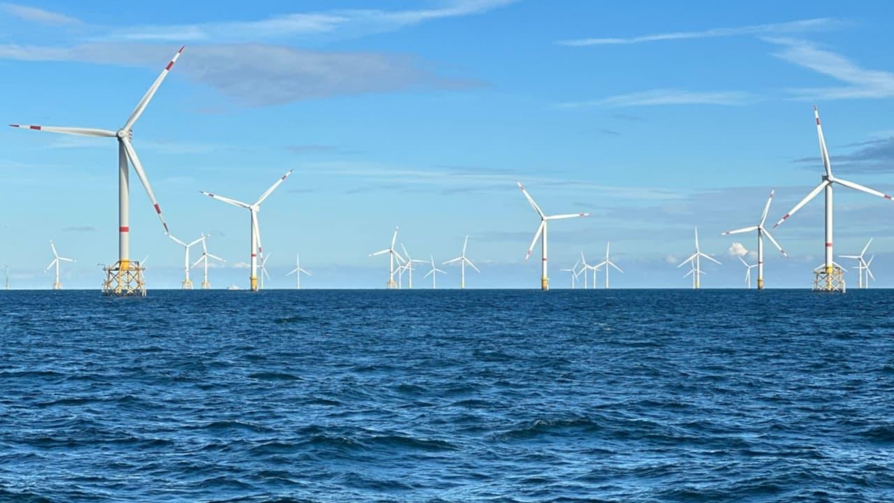 Windparks im Meer - Chance oder Risiko für die Natur?