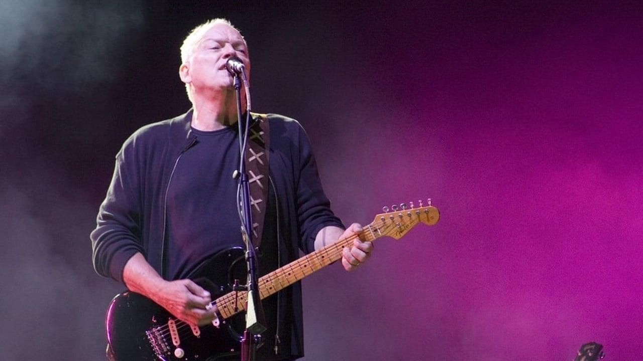 David Gilmour: In Concert