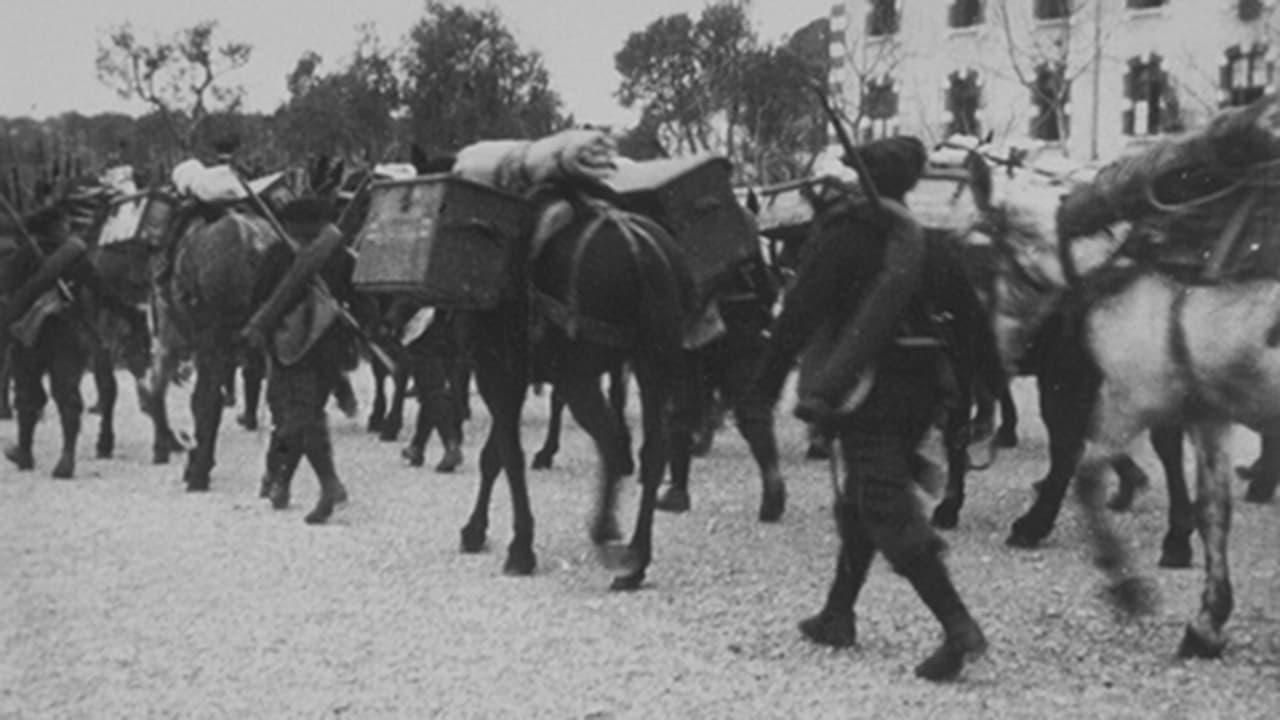 27ème chasseurs alpins : défilé