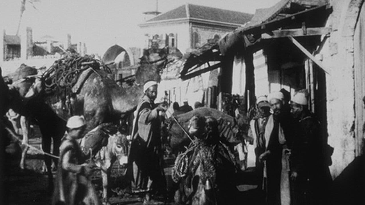 Jaffa : Marché, II