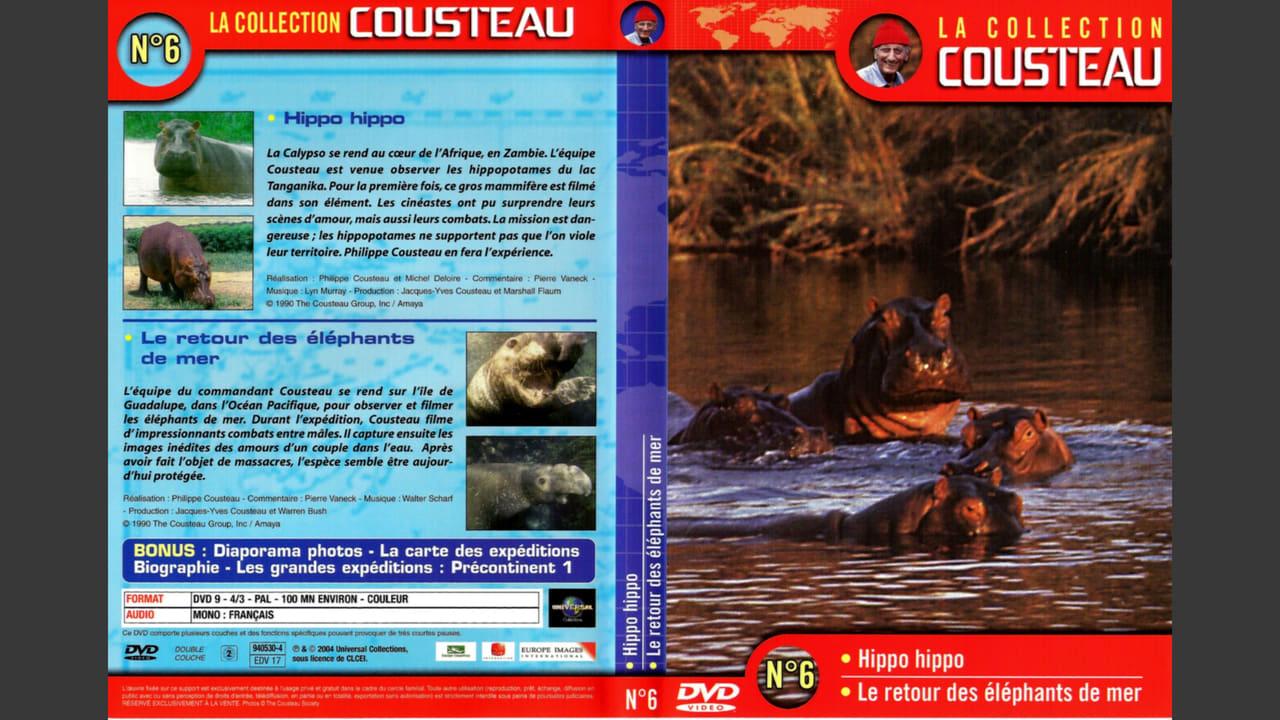 The Cousteau Collection N°6-1 | Hippo, Hippo