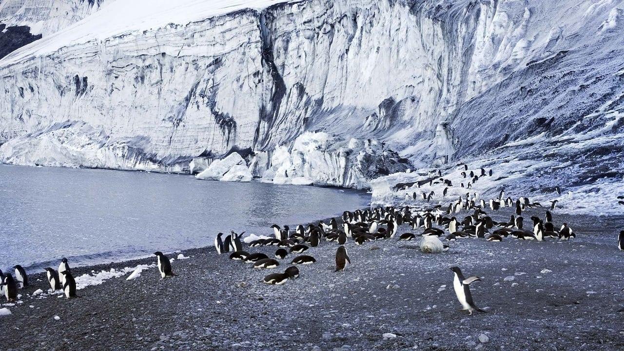 Antarctica: The Frozen Time