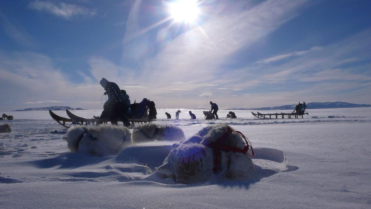 Là où naissent les icebergs