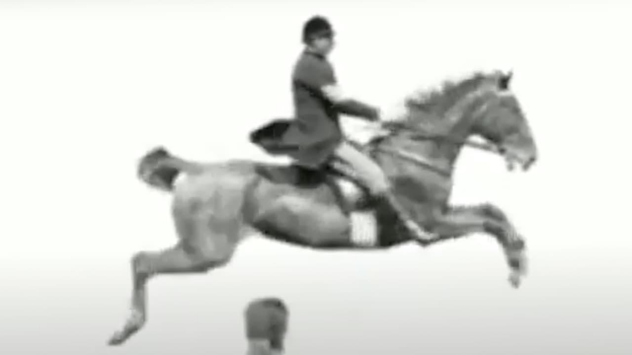 Horse and Rider Jumping Over an Obstacle