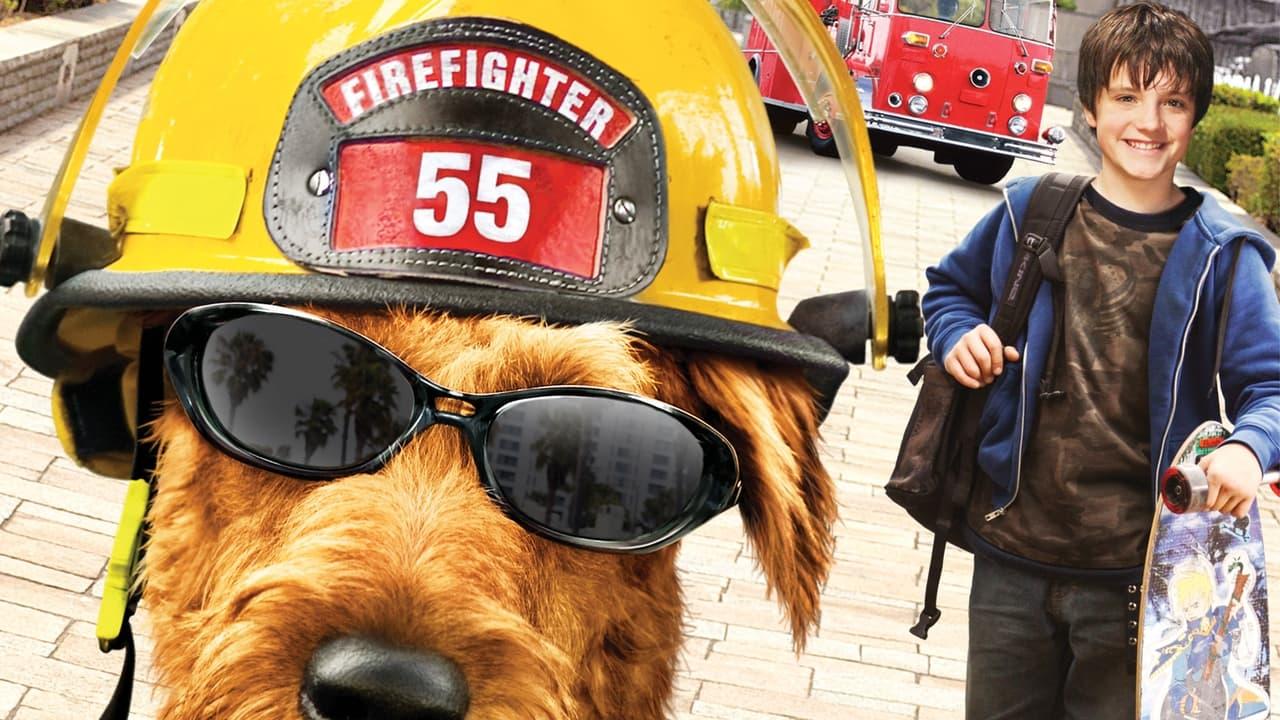 Firehouse Dog