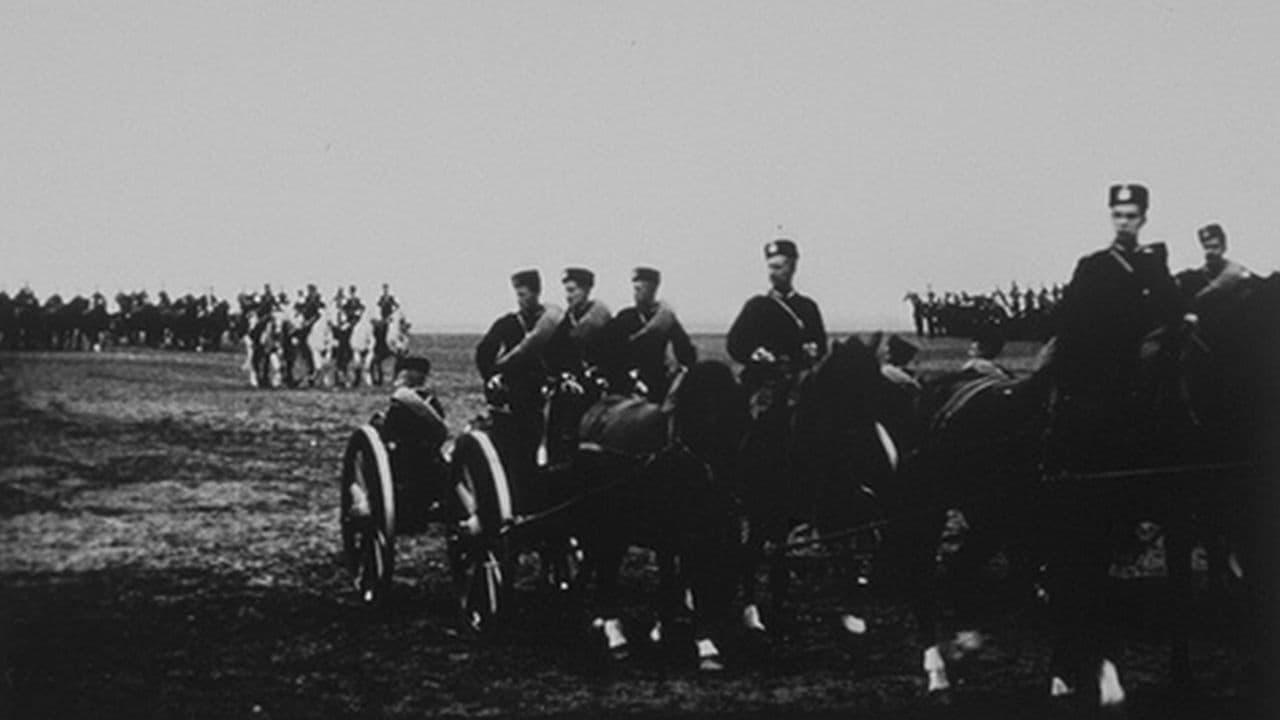 Revue de Krasnoïe Selo : artillerie de forteresse