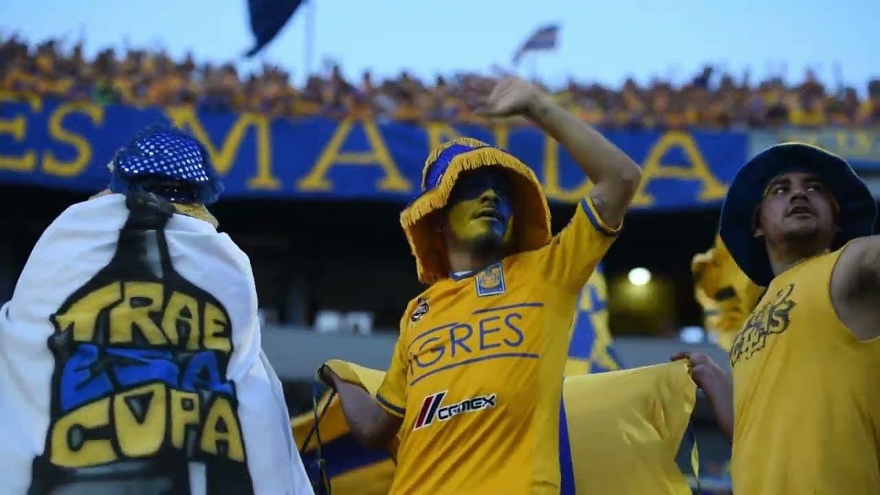 La cancha no tiene la culpa