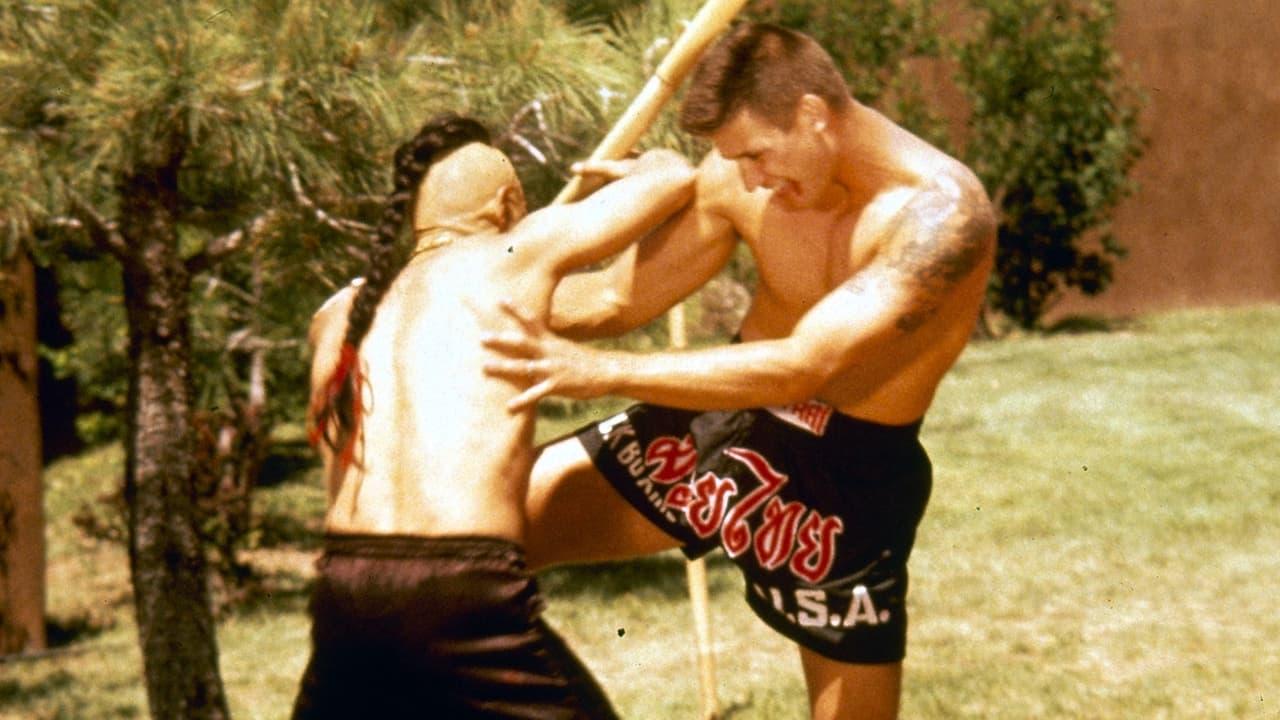 Kickboxer 4: The Aggressor