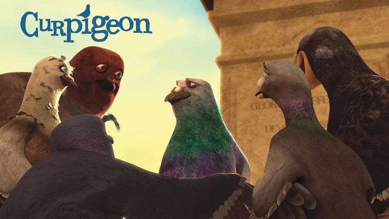 Curpigeon